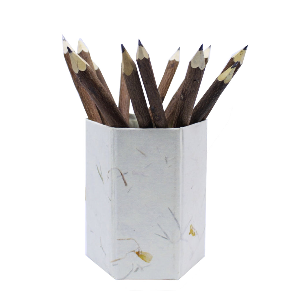 Neem Lead Pencil Pack of 12 plus holder (J038)